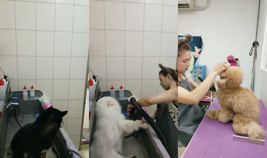 vickymichen TikTok Live — Jul 14, 2026, 5:18 AM
