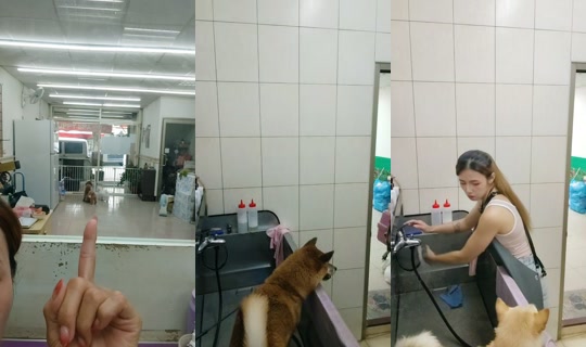 vickymichen TikTok Live — Aug 28, 2026, 5:26 AM