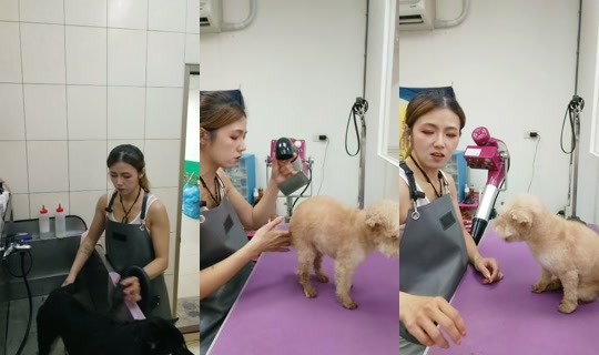 vickymichen TikTok Live — Aug 28, 2026, 6:16 AM