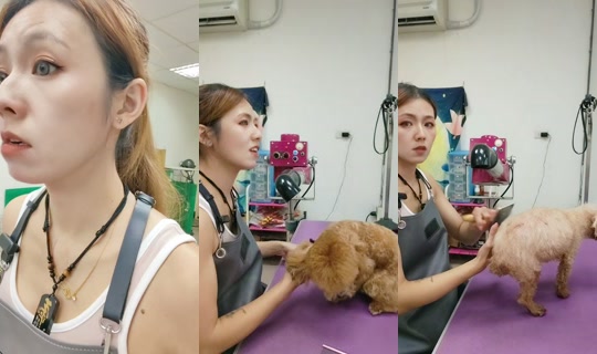 vickymichen TikTok Live — Aug 28, 2026, 7:07 AM