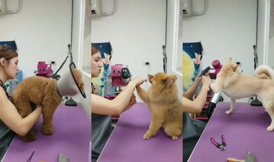vickymichen TikTok Live — Aug 28, 2026, 8:47 AM