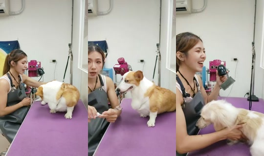 vickymichen TikTok Live — Aug 28, 2026, 9:37 AM