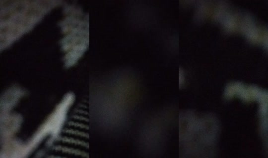 viivianneliadalia TikTok Live — Aug 20, 2026, 10:44 PM
