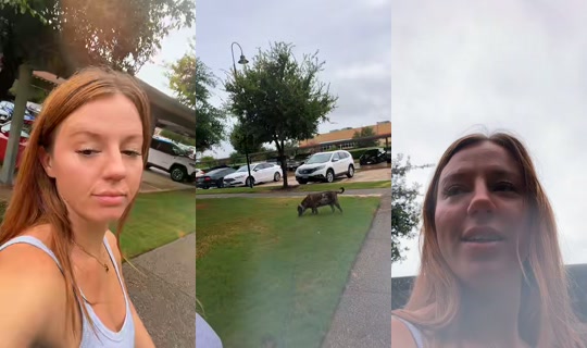 virtually.honest TikTok Live — Jul 11, 2026, 8:34 PM