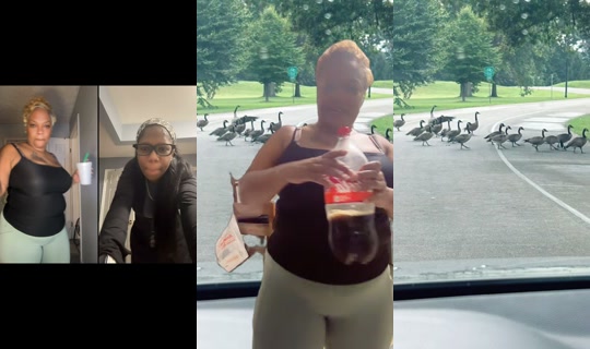 vivacious731 TikTok Live — Aug 28, 2026, 1:27 AM