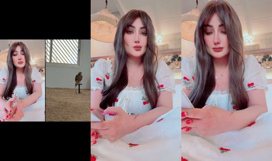 wardalq4 TikTok Live — Jul 30, 2026, 2:17 PM