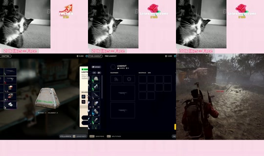 wifeyysarah TikTok Live — Sep 16, 2026, 10:53 PM