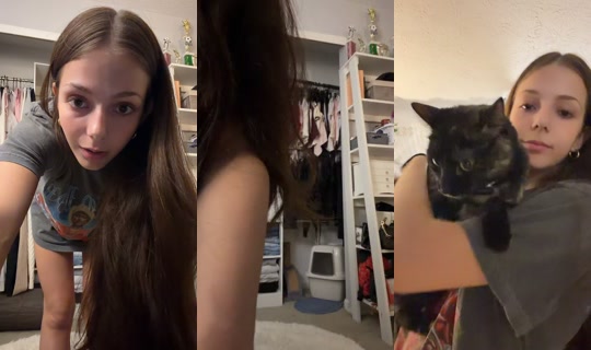 www.yo631 TikTok Live — Jul 14, 2026, 1:14 AM