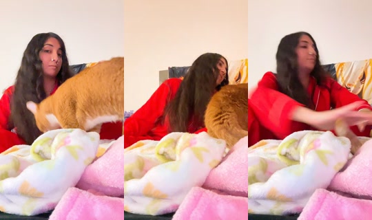 x7.trusttnonee TikTok Live — Jul 13, 2026, 5:15 AM