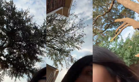 xocoral_ TikTok Live — Aug 25, 2026, 11:20 PM