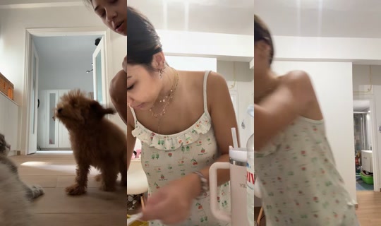 xristina.athanasiadi TikTok Live — Sep 14, 2026, 11:02 AM