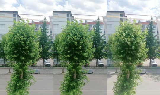 yazgul4101 TikTok Live — Jul 14, 2026, 11:31 AM
