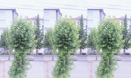 yazgul4101 TikTok Live — Jul 14, 2026, 11:47 AM
