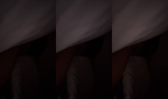 yazzdatgirl1234 TikTok Live — Jul 13, 2026, 5:51 AM