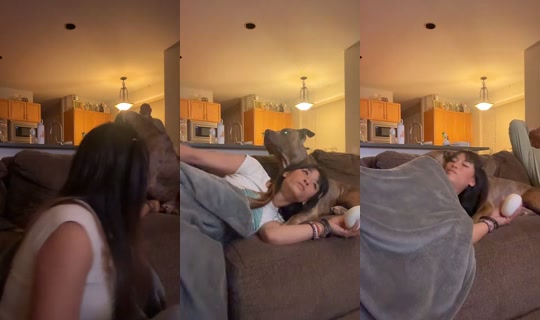 yesplslex TikTok Live — Jul 15, 2026, 5:56 AM