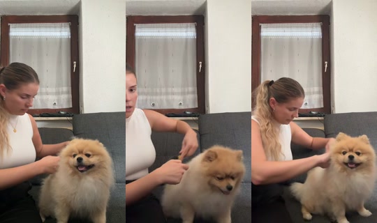 yvonnewrz TikTok Live — Jul 15, 2026, 3:21 PM