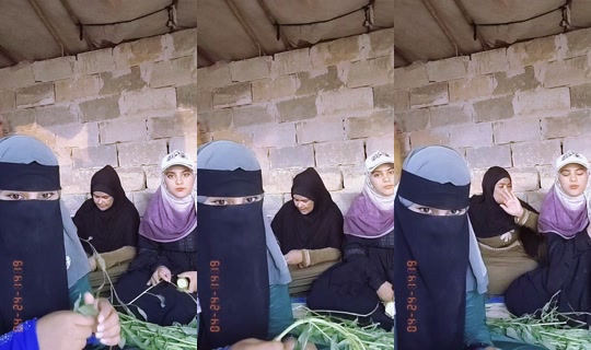 z___x___z1 TikTok Live — Aug 28, 2026, 3:20 PM
