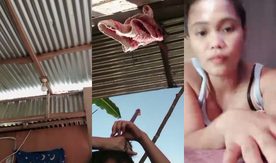 zaiel1234 TikTok Live — Aug 6, 2026, 7:14 AM