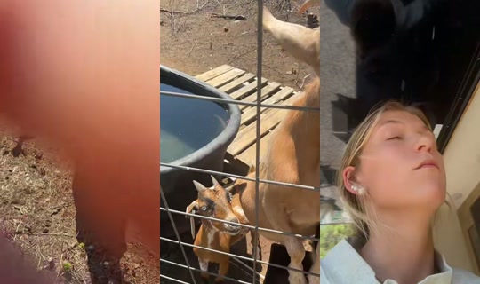 zoeywmarter TikTok Live — Sep 13, 2026, 6:25 PM