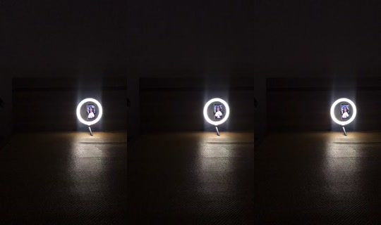 zzoo6785 TikTok Live — Jul 15, 2026, 5:03 PM